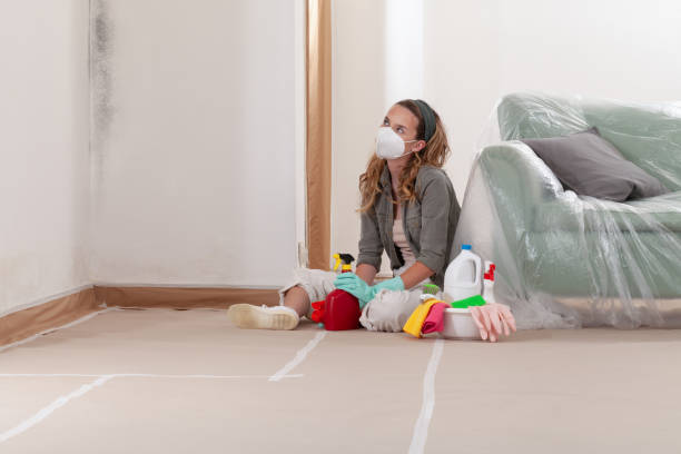 Reliable Mold Remediation contractor in Allen, TX by Mold Remediation HQ